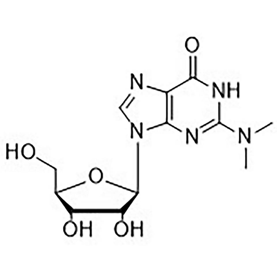 N2-Dimethylguanosine